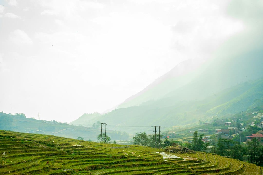 Guizhou terraced rice fields