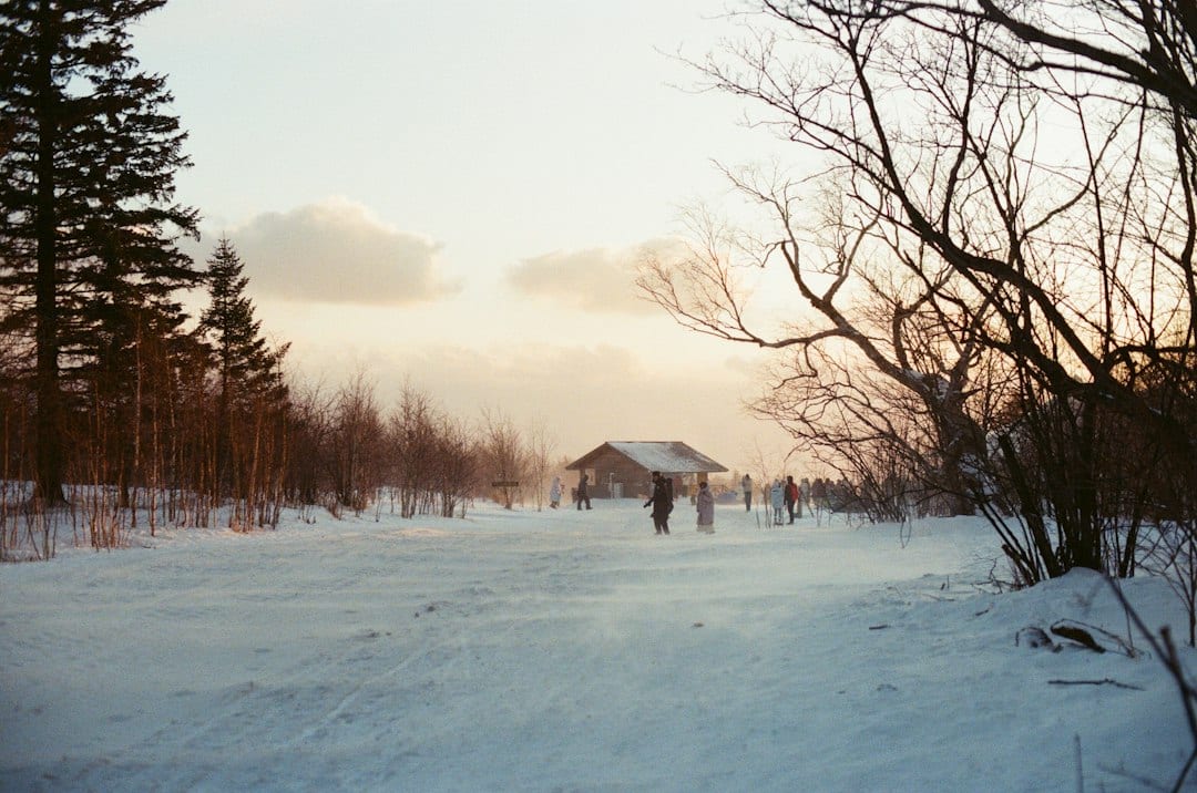 Snow-covered wooden village at dusk, ideal for a Harbin family winter extension