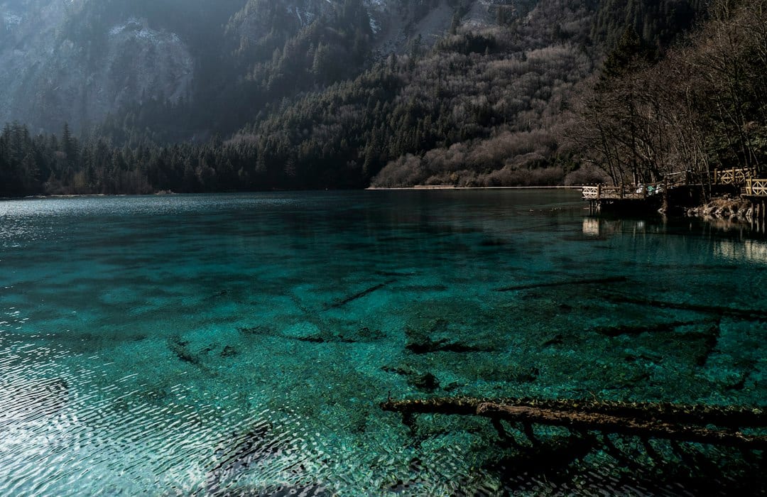 Turquoise lake in Jiuzhaigou