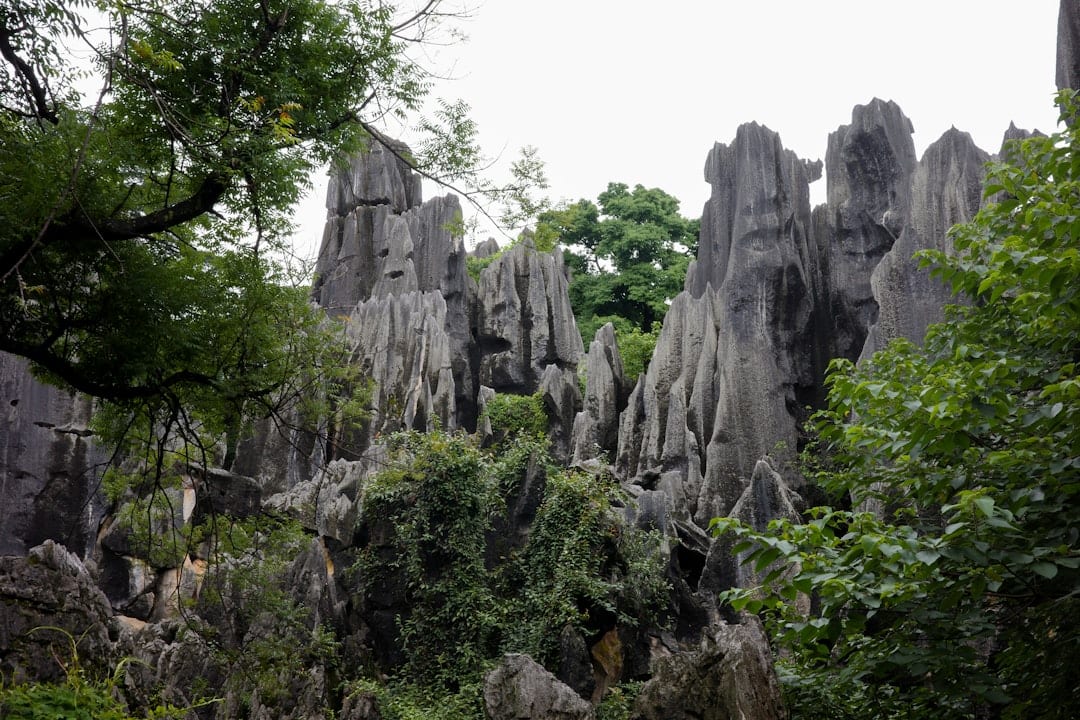 昆明石林喀斯特地貌