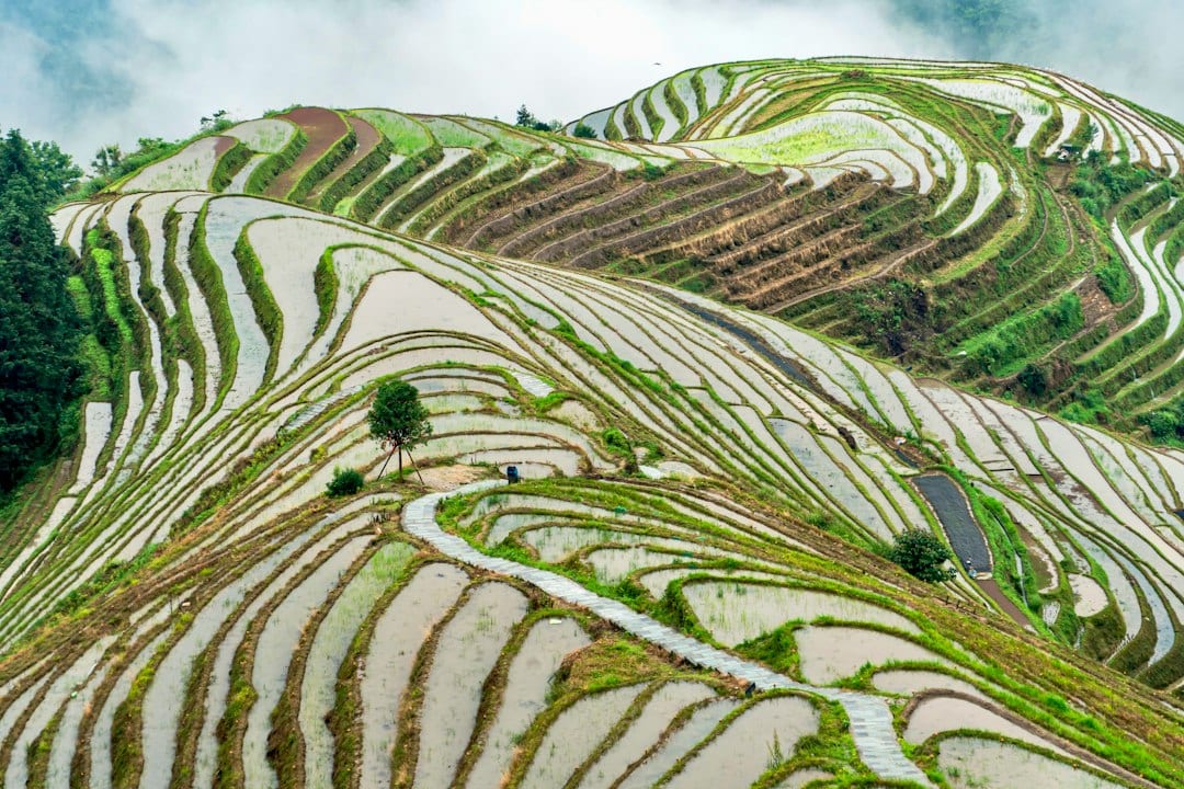 Longji Rice Terraces during spring water season