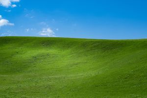 Windows XP vibe, shot from Nalati, Xinjiang, China