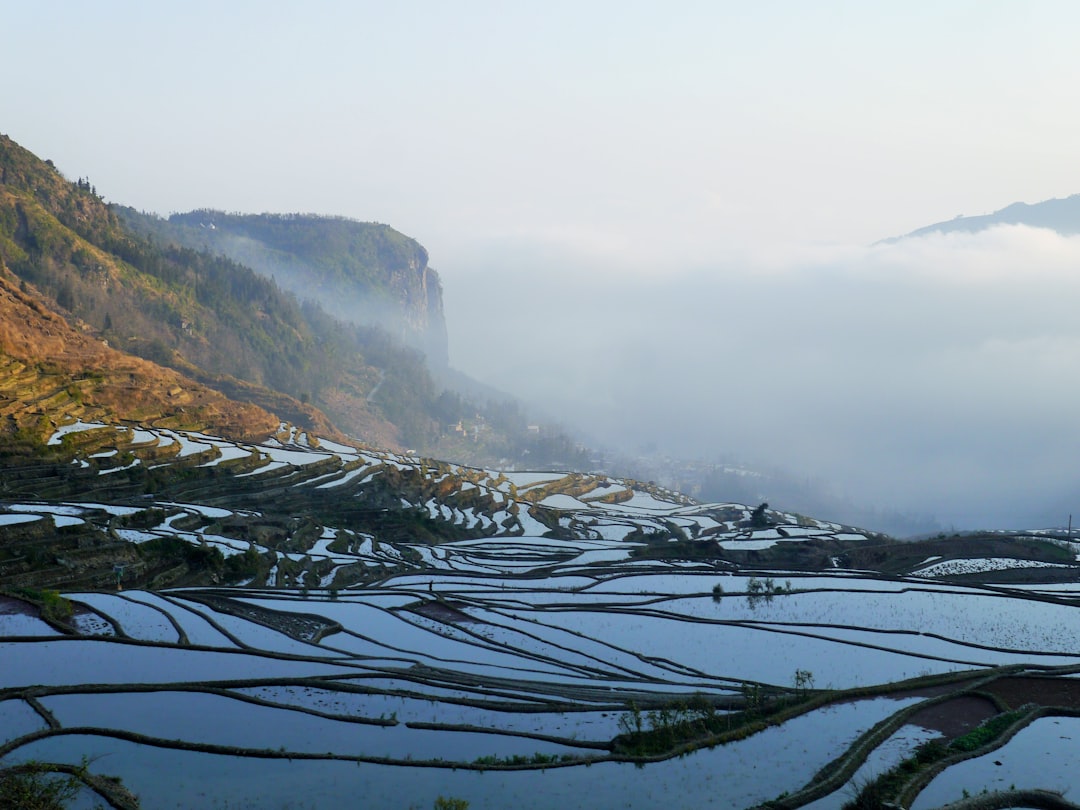 雲南梯田