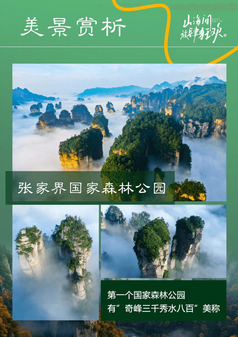 金鞭溪蜿蜒穿過森林山谷