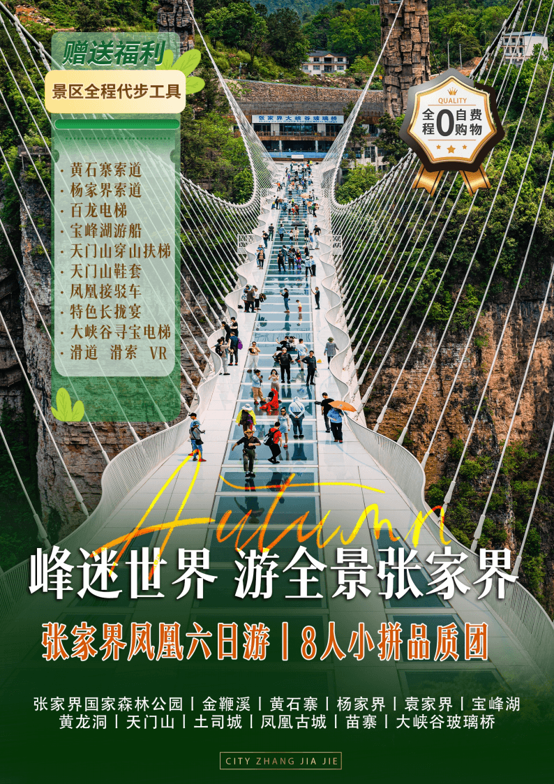 張家界高聳的砂岩峰柱籠罩於雲霧之中